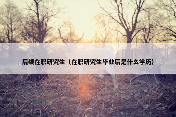 后续在职研究生（在职研究生毕业后是什么学历）