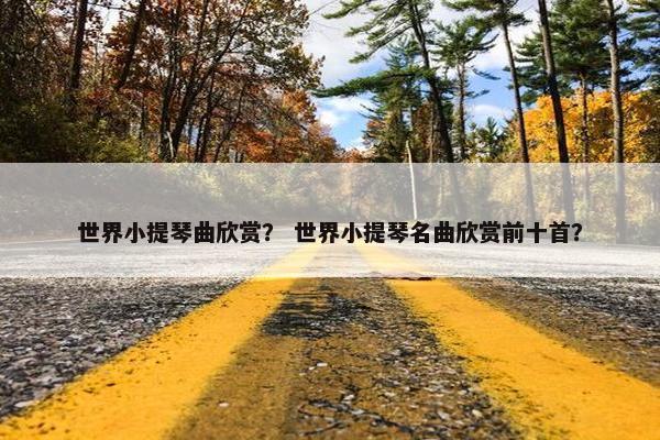世界小提琴曲欣赏？ 世界小提琴名曲欣赏前十首？