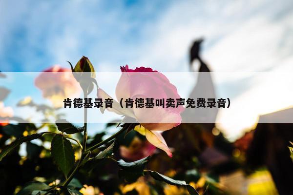 肯德基录音（肯德基叫卖声免费录音）