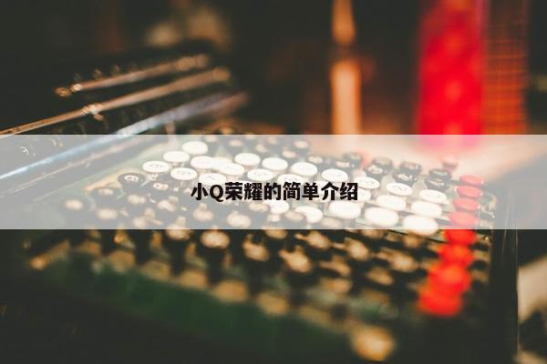 小Q荣耀的简单介绍