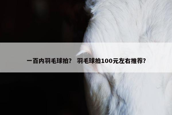 一百内羽毛球拍？ 羽毛球拍100元左右推荐？