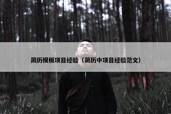 简历模板项目经验（简历中项目经验范文）