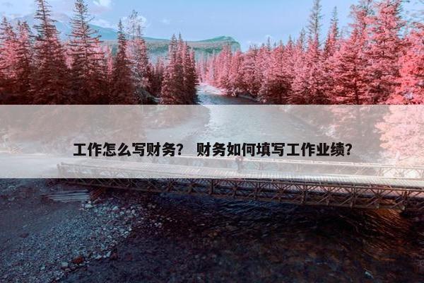 工作怎么写财务？ 财务如何填写工作业绩？