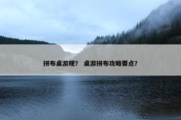 拼布桌游规? 桌游拼布攻略要点? 拼布桌游规? 桌游拼布攻略要点?