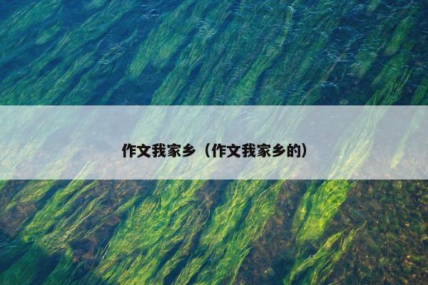 作文我家乡（作文我家乡的）