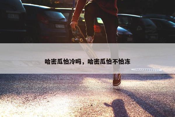 哈密瓜怕冷吗，哈密瓜怕不怕冻