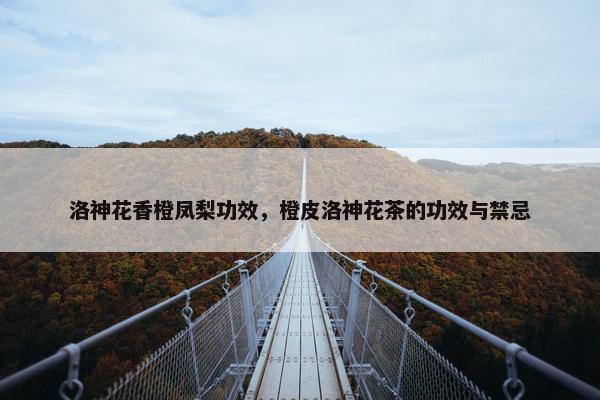 洛神花香橙凤梨功效，橙皮洛神花茶的功效与禁忌