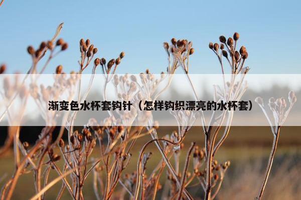 渐变色水杯套钩针（怎样钩织漂亮的水杯套）