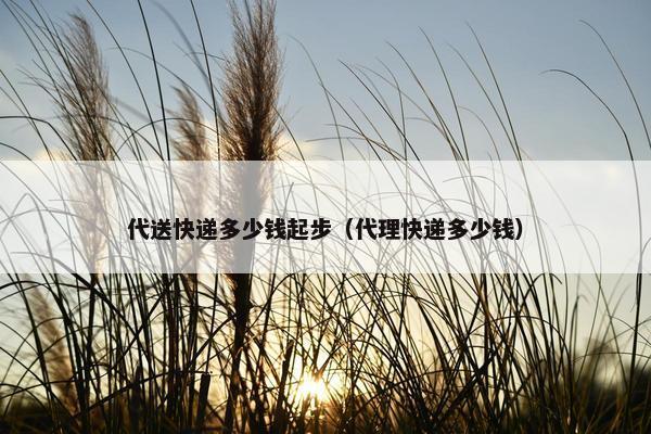 代送快递多少钱起步（代理快递多少钱）