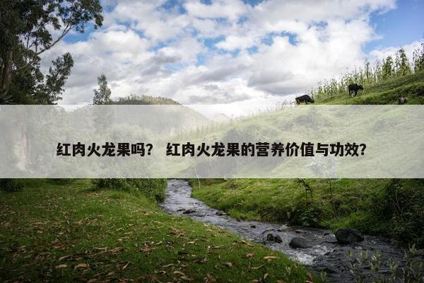 红肉火龙果吗？ 红肉火龙果的营养价值与功效？