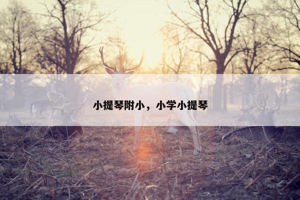 小提琴附小，小学小提琴