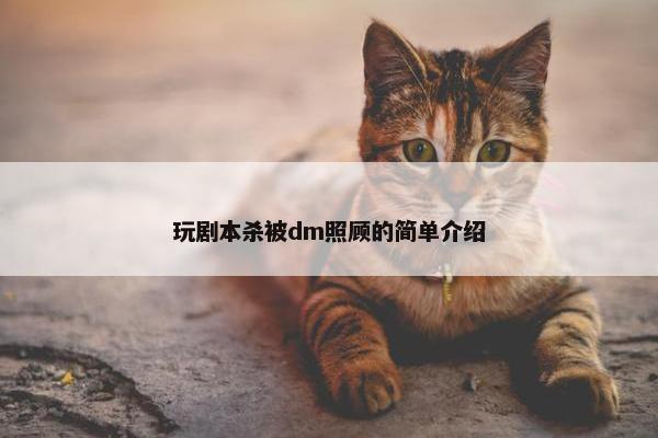 玩剧本杀被dm照顾的简单介绍