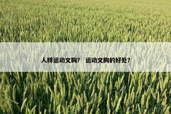 人胖运动文胸？ 运动文胸的好处？
