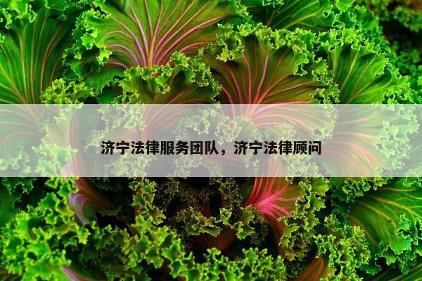 济宁法律服务团队，济宁法律顾问
