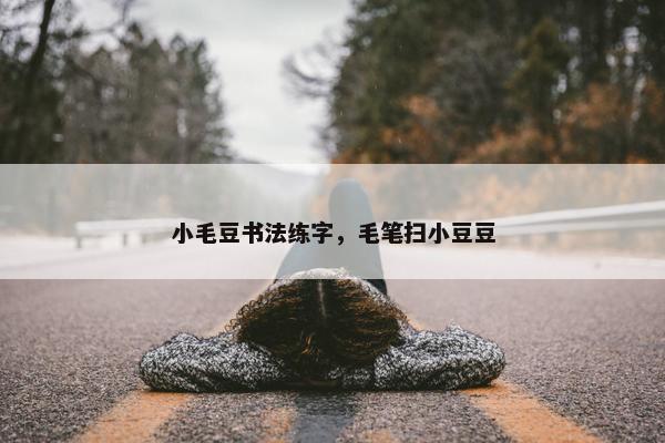 小毛豆书法练字，毛笔扫小豆豆