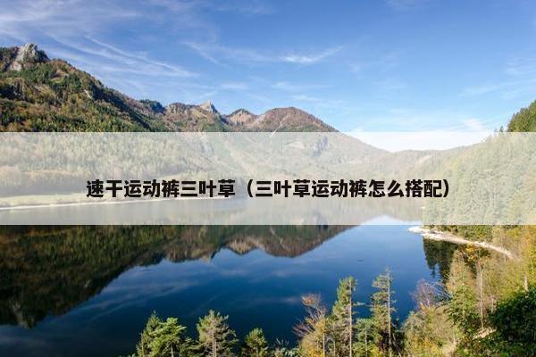 速干运动裤三叶草（三叶草运动裤怎么搭配）