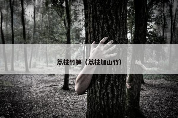 荔枝竹笋（荔枝加山竹）