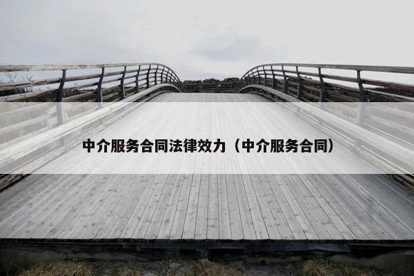 中介服务合同法律效力（中介服务合同）