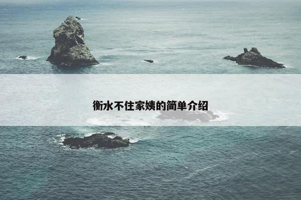 衡水不住家姨的简单介绍