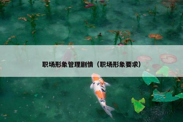 职场形象管理剧情（职场形象要求）