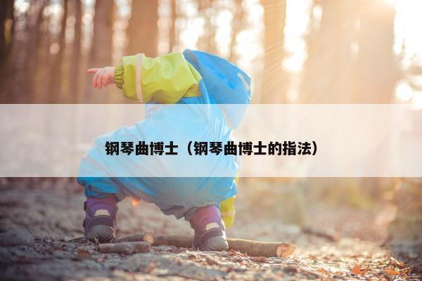 钢琴曲博士（钢琴曲博士的指法）