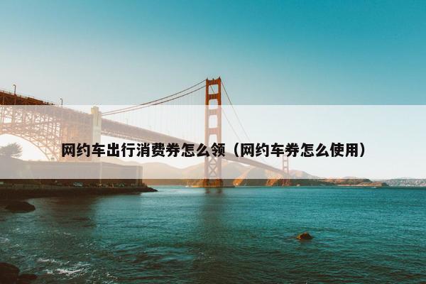 网约车出行消费券怎么领（网约车券怎么使用）