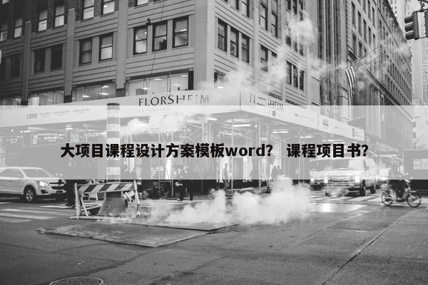 大项目课程设计方案模板word？ 课程项目书？