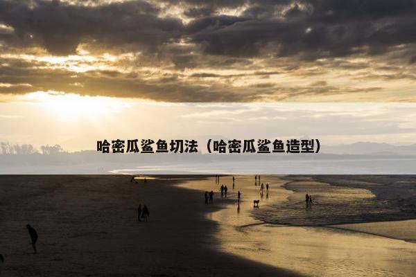 哈密瓜鲨鱼切法（哈密瓜鲨鱼造型）