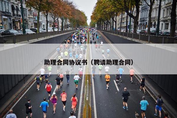 助理合同协议书（聘请助理合同）