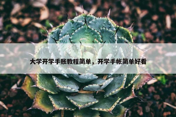 大学开学手账教程简单，开学手帐简单好看