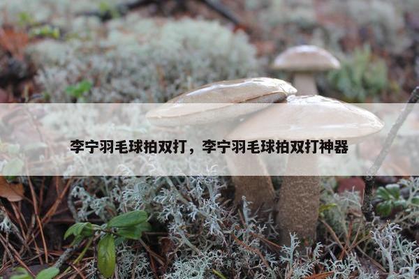 李宁羽毛球拍双打，李宁羽毛球拍双打神器