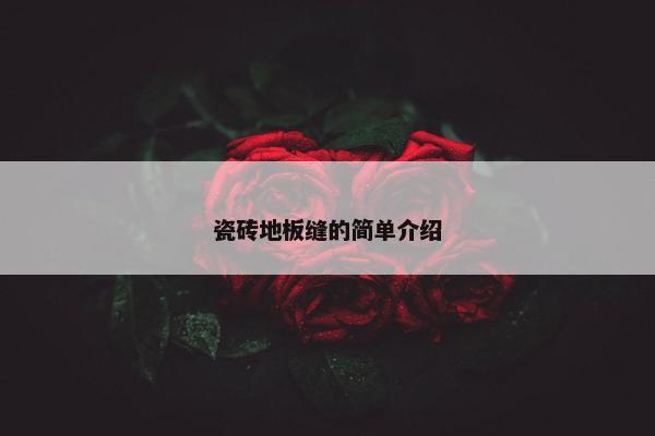 瓷砖地板缝的简单介绍