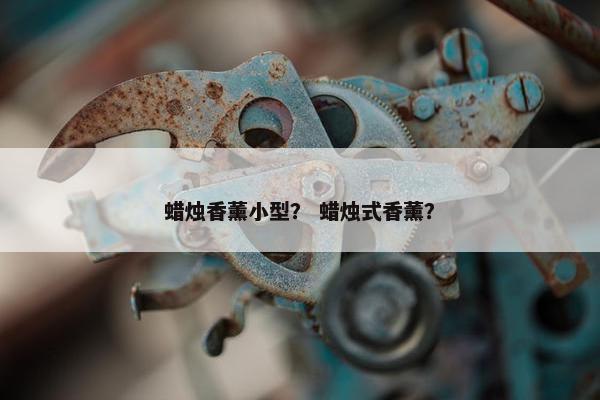 蜡烛香薰小型？ 蜡烛式香薰？