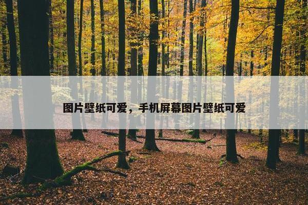 图片壁纸可爱，手机屏幕图片壁纸可爱