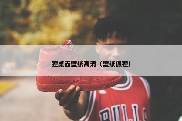 狸桌面壁纸高清（壁纸狐狸）