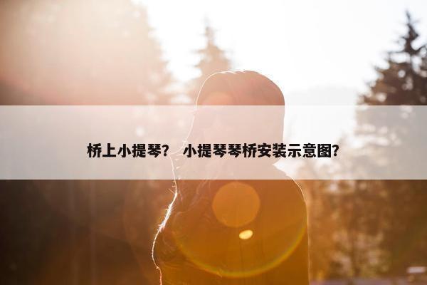 桥上小提琴？ 小提琴琴桥安装示意图？