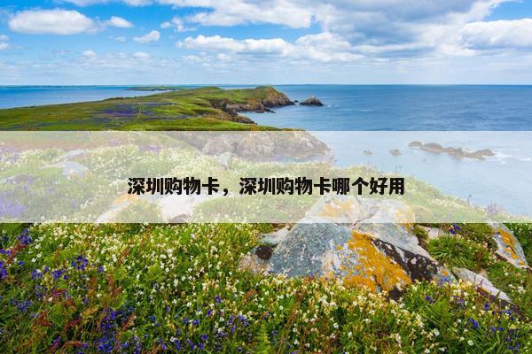 深圳购物卡，深圳购物卡哪个好用