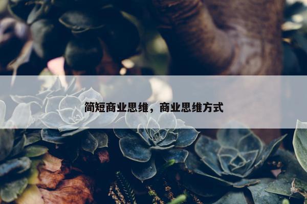 简短商业思维，商业思维方式