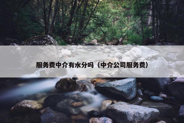 服务费中介有水分吗（中介公司服务费）