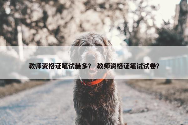 教师资格证笔试最多？ 教师资格证笔试试卷？