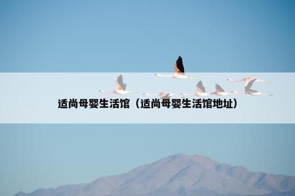 适尚母婴生活馆（适尚母婴生活馆地址）