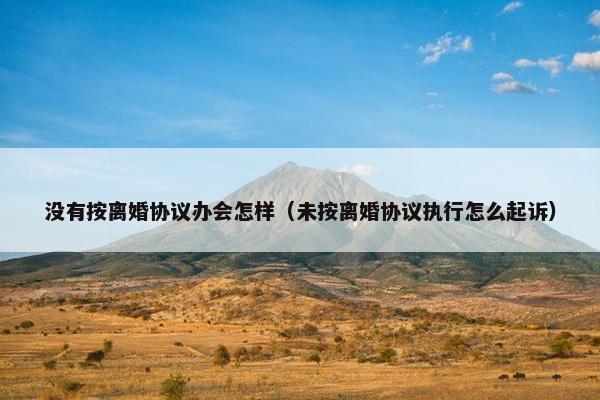 没有按离婚协议办会怎样（未按离婚协议执行怎么起诉）