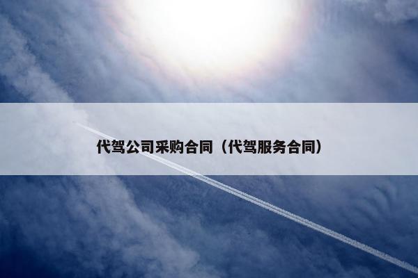 代驾公司采购合同（代驾服务合同）