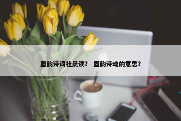 墨韵诗词社晨读？ 墨韵诗魂的意思？