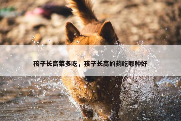 孩子长高菜多吃，孩子长高的药吃哪种好