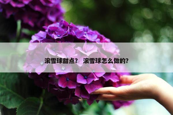 滚雪球甜点？ 滚雪球怎么做的？
