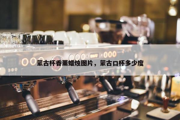 蒙古杯香薰蜡烛图片，蒙古口杯多少度