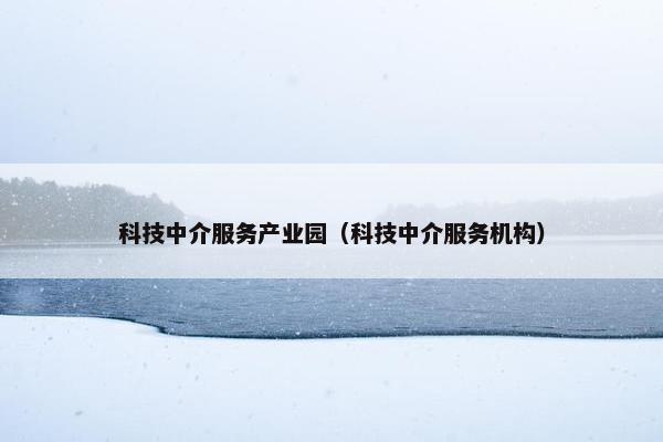 科技中介服务产业园（科技中介服务机构）