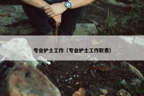 专业护士工作（专业护士工作职责）
