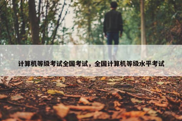 计算机等级考试全国考试，全国计算机等级水平考试